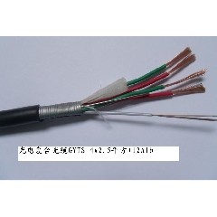 光電復合光纜GYTS-4*2.5+12A1D