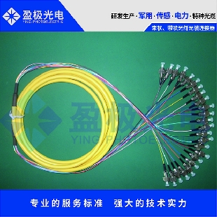 束狀、帶狀光纖光纜連接器組件